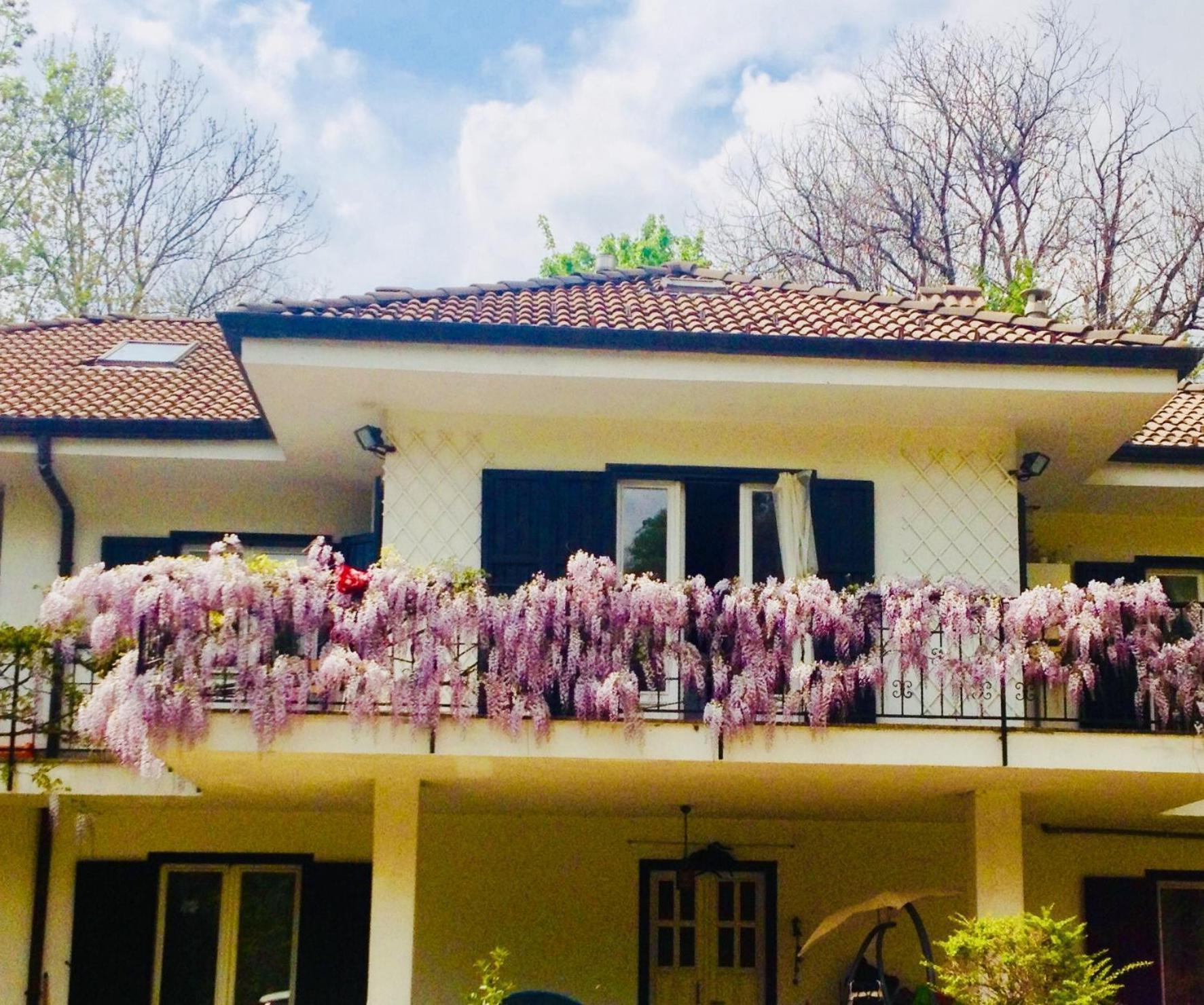 B&B La Libellula Castelnuovo Nigra Kültér fotó