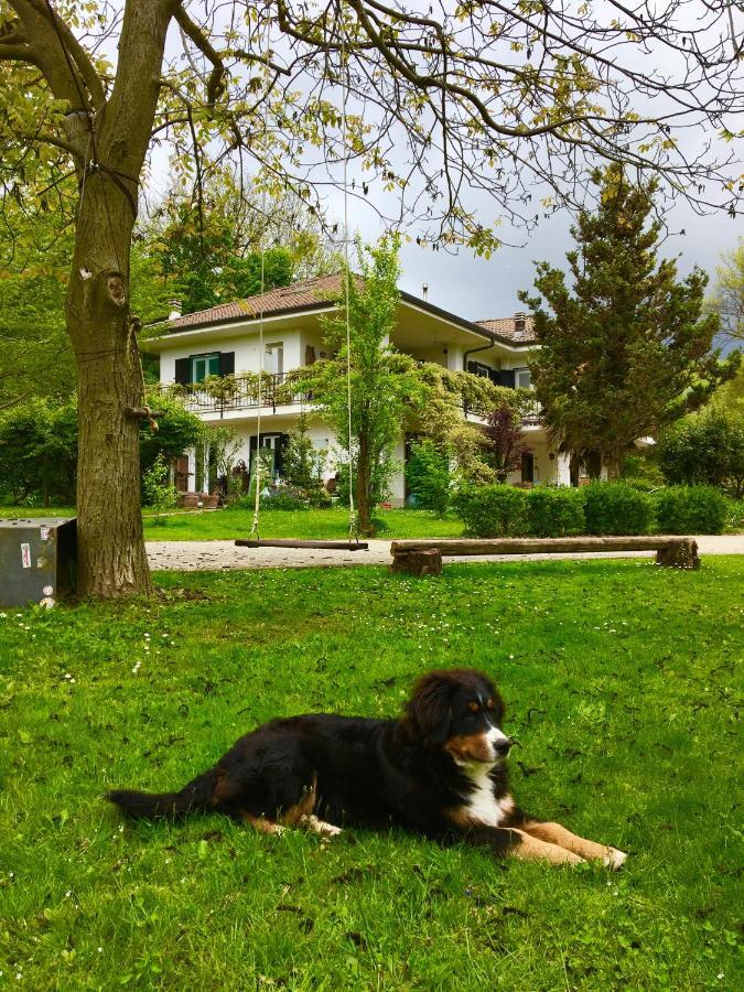 B&B La Libellula Castelnuovo Nigra Kültér fotó