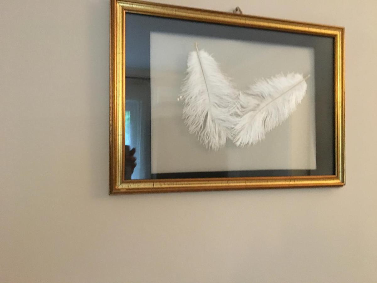 B&B La Libellula Castelnuovo Nigra Kültér fotó
